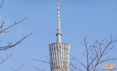 玩项目大致分为文娱取参不雅两大项目